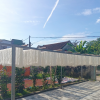 Miến gạo Hà Lân